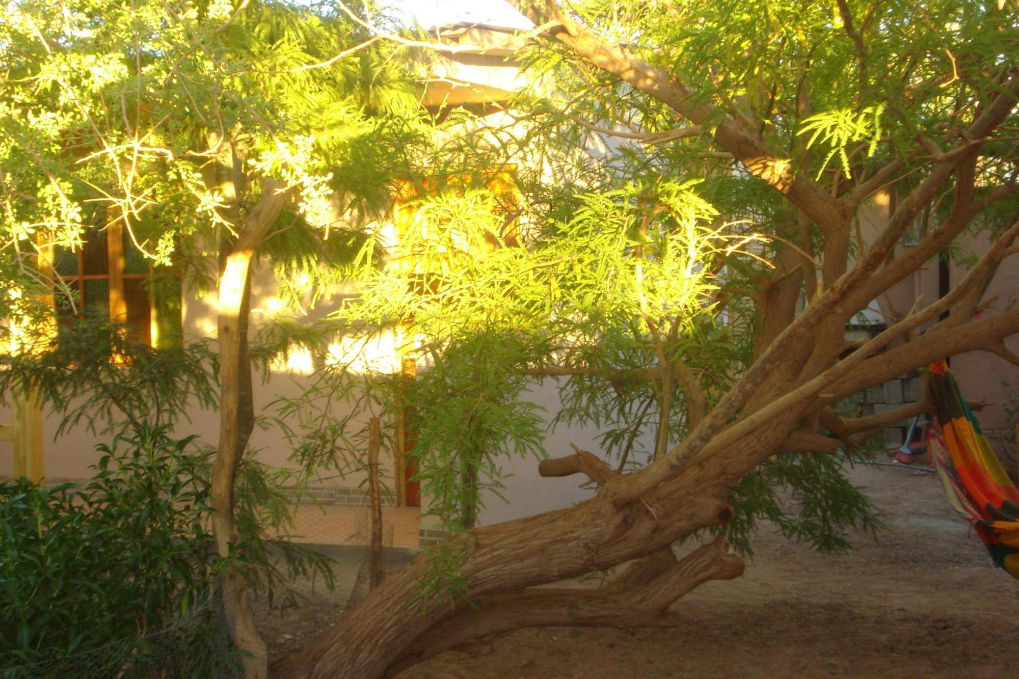 Hostal Candelaria San Pedro de Atacama Exterior photo
